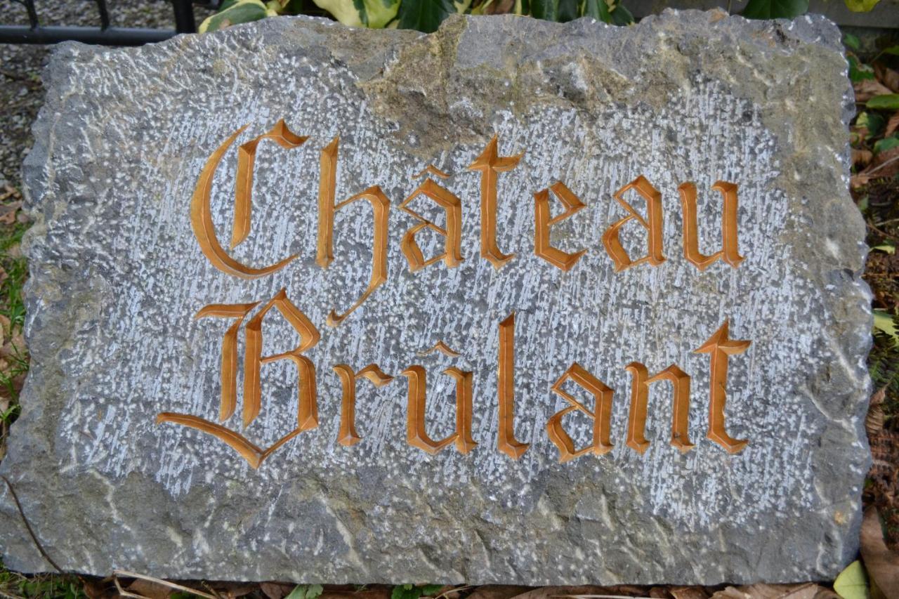 Chateau Brulant ソンム・ルーズ エクステリア 写真